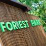 Недалеко от Днепра открылся Forrest Park&038;Resort: 5 причин провести там викенд