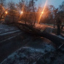 Непогода в Мариуполе: обледенения, поваленные деревья и аварии на дорогах, - ФОТО