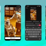 В TikTok появился ИИ-фильтр для анимации фото в видео