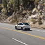 Tesla представила Standard-версии Model Y и Model 3 - «свои самые доступные автомобили»