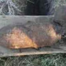 На Днепропетровщине обнаружили 100-килограммовую авиационную бомбу