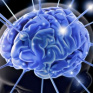 Ученые: Мозг человека оказался более устойчив, чем считалось ранее