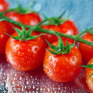 Ученые выяснили, почему помидоры из холодильника становятся безвкусными
