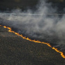 Пожар в Ченобыльской зоне возник в следствии умышленного поджога