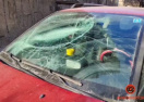 В Днепре кот с 6 этажа упал на Citroen и разбил лобовое стекло: подробности и кто должен нести ответственность