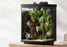 Xiaomi представила компактный умный аквариум Mijia Smart Desktop Fish Tank