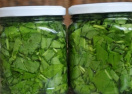 Щавель в банках на зиму